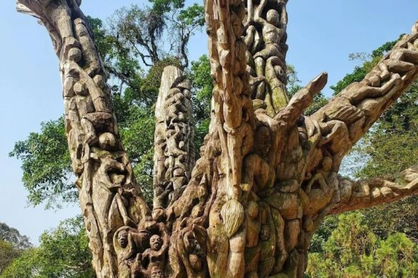 Aburi Botanical Gardens - SillySuitcase