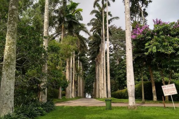 Aburi Botanical Gardens - SillySuitcase