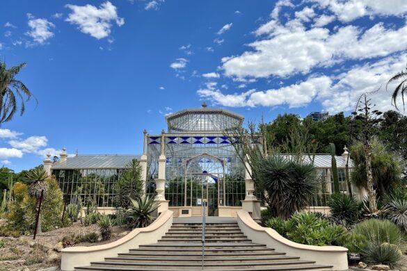 Adelaide Botanic Garden - SillySuitcase