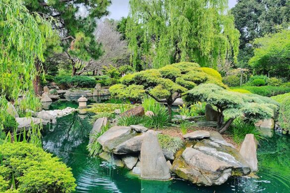 Adelaide Himeji Garden - SillySuitcase