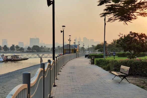 Albarsha Pond Park - SillySuitcase