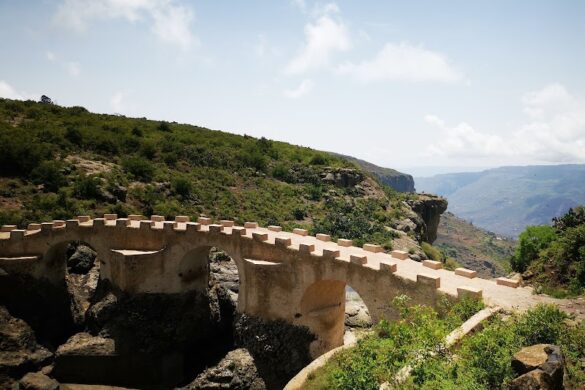 Aman Ethiopia Tours - SillySuitcase