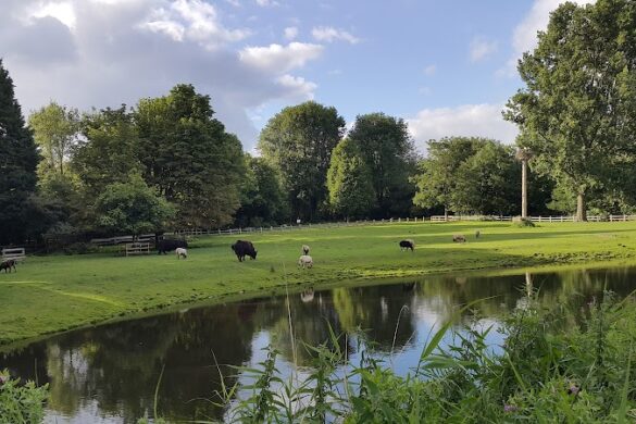 Amstelpark - SillySuitcase