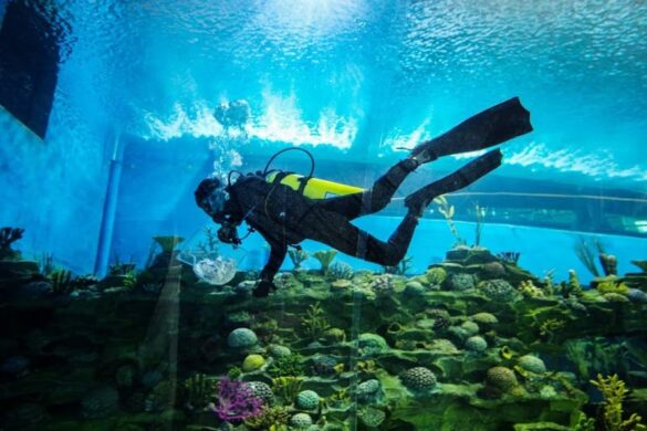 Aquatic Gallery Science City - SillySuitcase