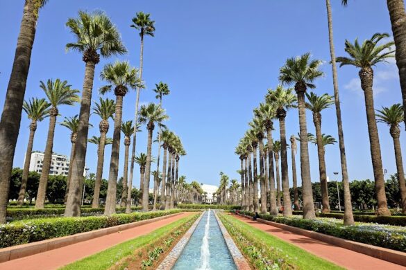 Arab League Park - SillySuitcase