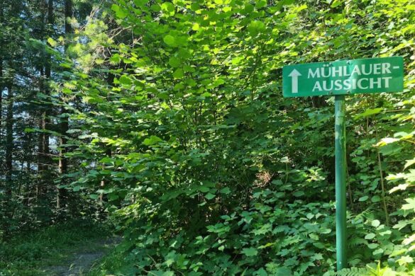 Arzler Alm Trail - SillySuitcase