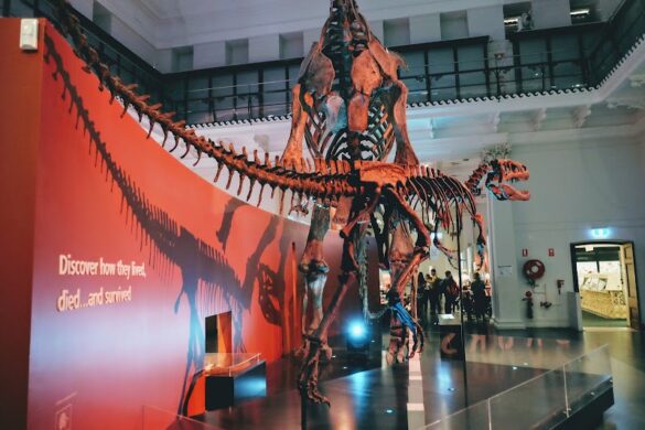 Australian Museum - SillySuitcase