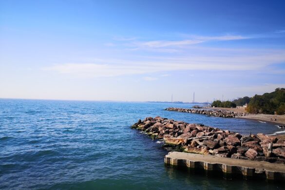 Balmy Beach Park - SillySuitcase