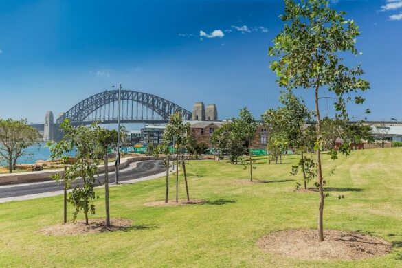 Barangaroo Reserve - SillySuitcase