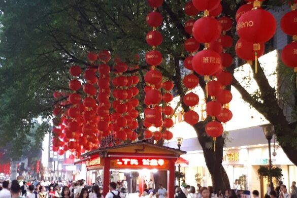 Beijing Road Raw Material For Medicine Shopping Mall - SillySuitcase