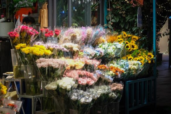 Beijing Road Raw Material For Medicine Shopping Mall - SillySuitcase