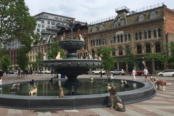 Berczy Park - SillySuitcase