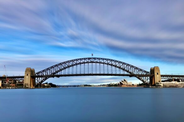 Blues Point Reserve - SillySuitcase