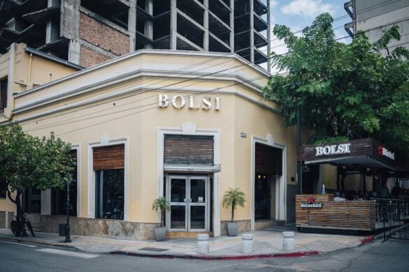Bolsi - SillySuitcase