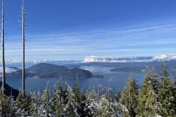 Bowen Lookout - SillySuitcase
