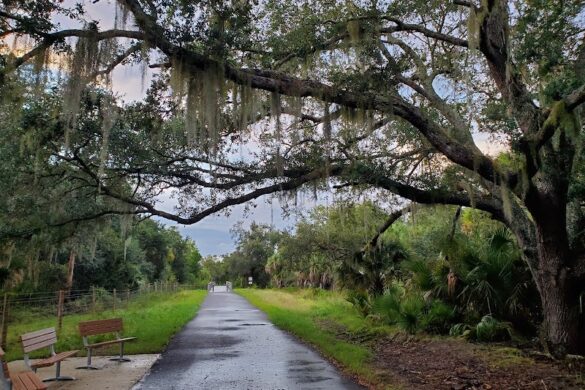 Brevard Zoo Linear Park - SillySuitcase