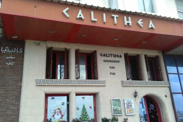 Calithea - SillySuitcase