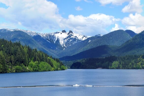 Capilano River Regional Park - SillySuitcase
