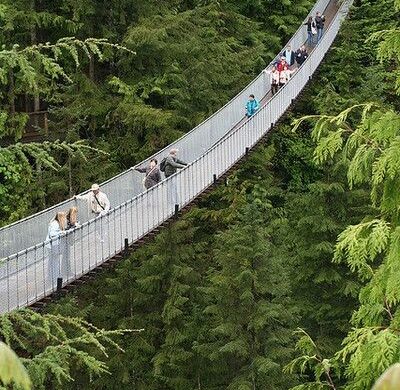 Capilano Suspension Bridge Park - SillySuitcase