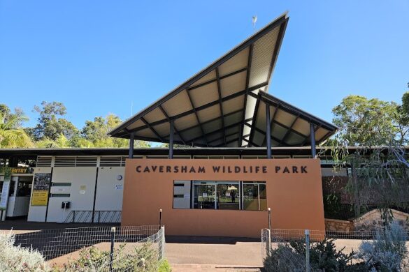 Caversham Wildlife Park - SillySuitcase
