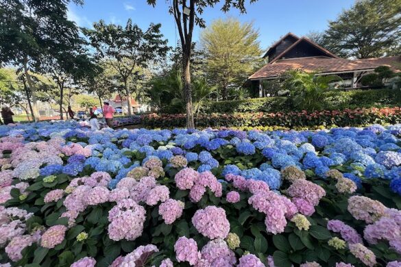 Chiang Mai Chaloem Phrakiat Park - SillySuitcase
