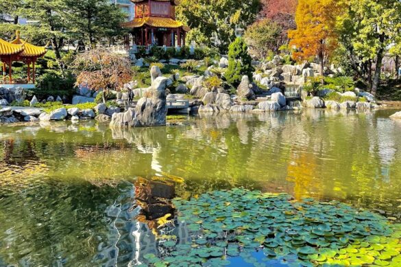 Chinese Garden Of Friendship - SillySuitcase