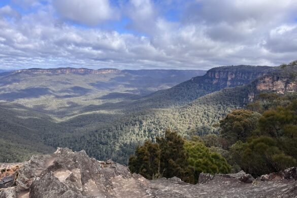 Coast Warriors Sydney Tours - SillySuitcase