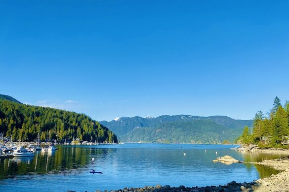 Deep Cove Park - SillySuitcase
