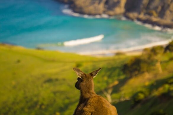 Deep Creek National Park - SillySuitcase