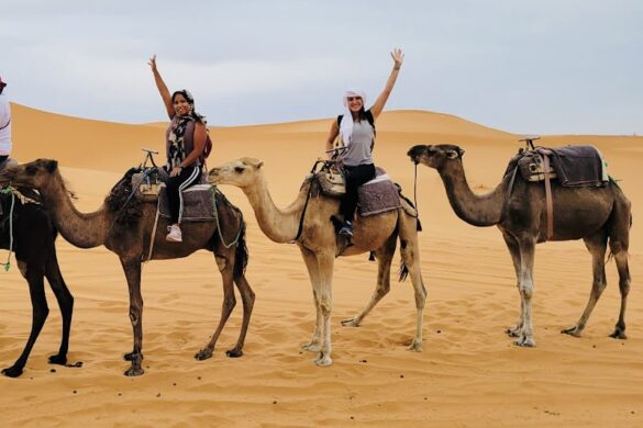 Desert Majesty - SillySuitcase