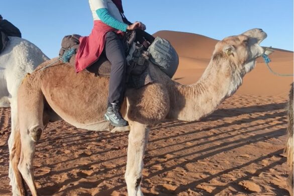 Discover Morocco Tours - SillySuitcase