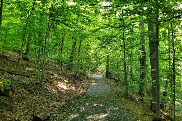 Dora Kelley Nature Park - SillySuitcase