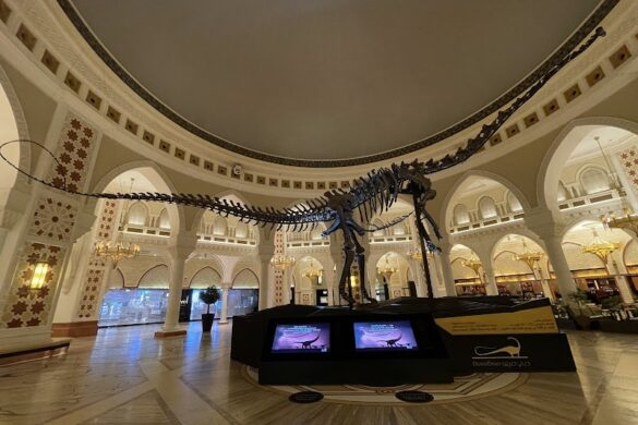 Dubai Dino - SillySuitcase