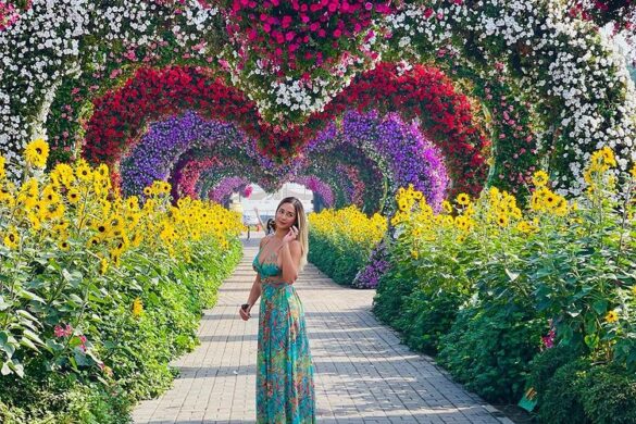 Dubai Miracle Garden - SillySuitcase