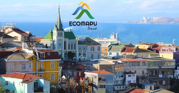 Ecomapu Travel - SillySuitcase