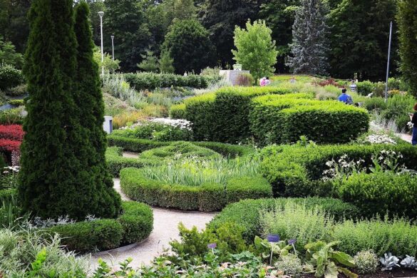 Edwards Gardens - SillySuitcase