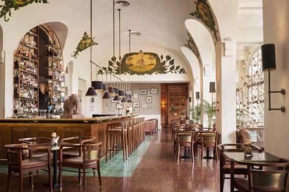 Elephant Bar - SillySuitcase