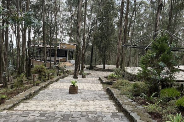 Entoto Natural Park - SillySuitcase