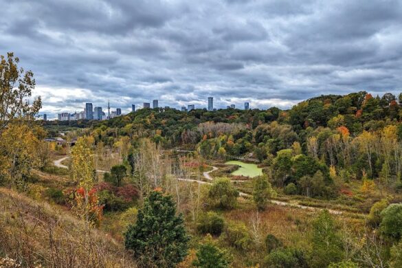 Evergreen Brick Works - SillySuitcase