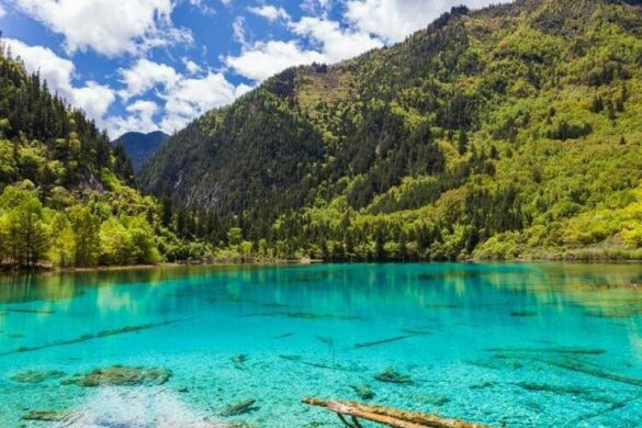 Five Flower Lake - SillySuitcase