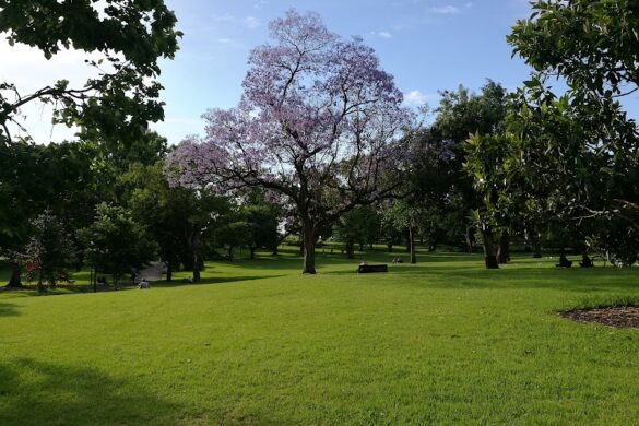 Flagstaff Gardens - SillySuitcase