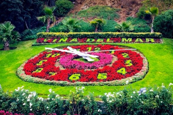 Flower Clock - SillySuitcase