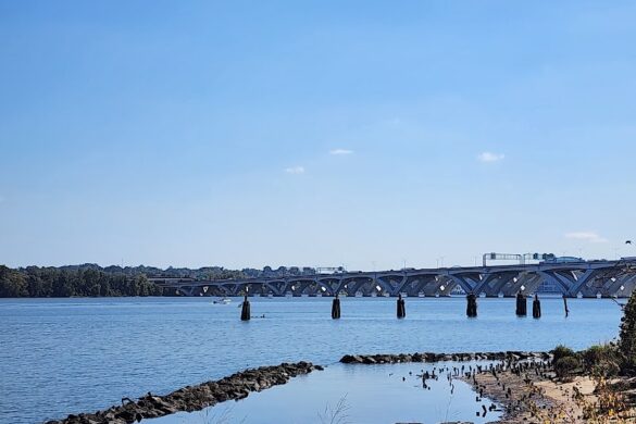 Ford S Landing Park - SillySuitcase