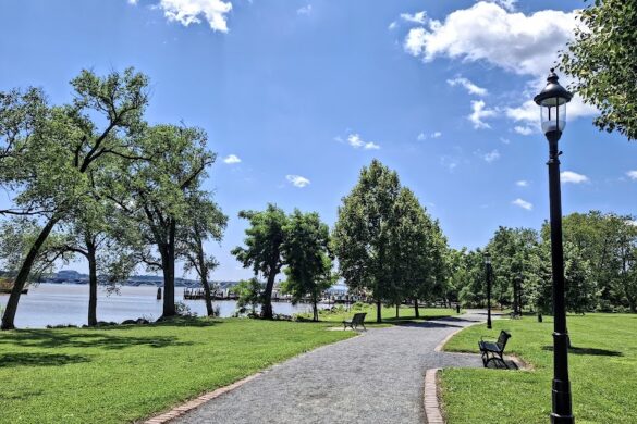 Founders Park - SillySuitcase