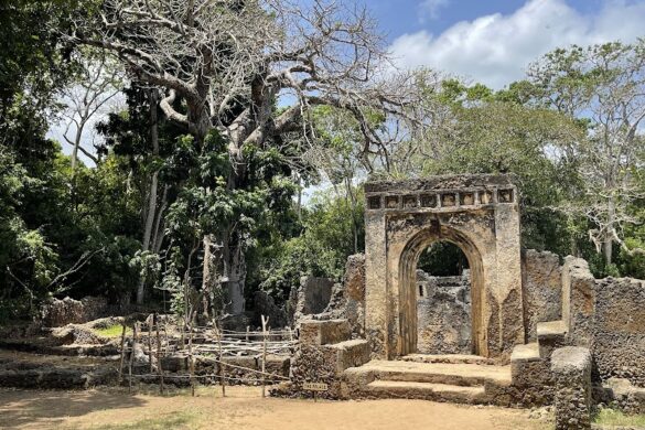Gedi Ruins Malindi - SillySuitcase