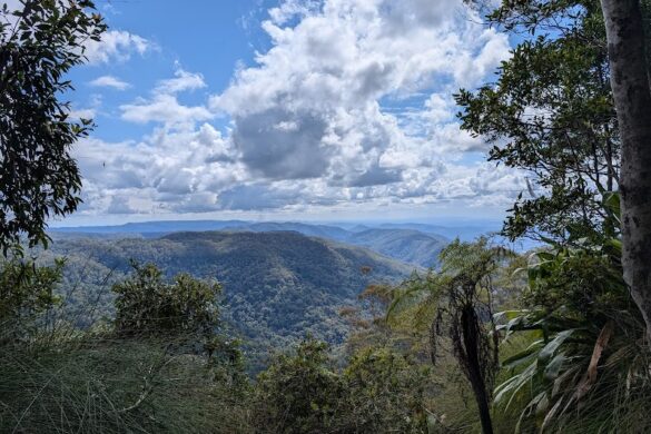 Gold Coast Lookout - SillySuitcase