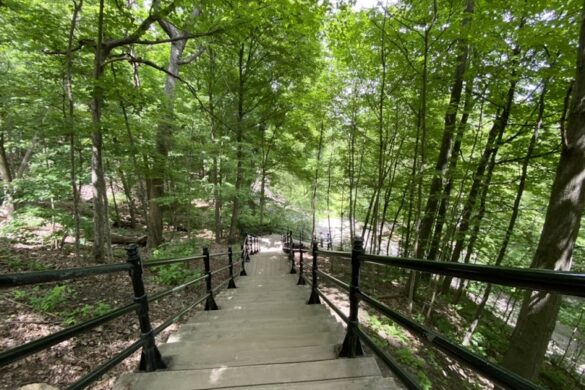 Grand Staircase Of Mount Royal - SillySuitcase