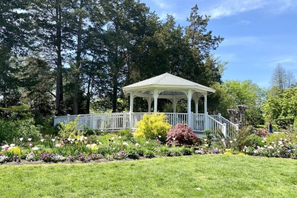 Green Spring Gardens - SillySuitcase