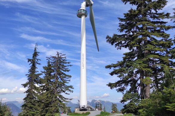 Grouse Mountain Peak - SillySuitcase