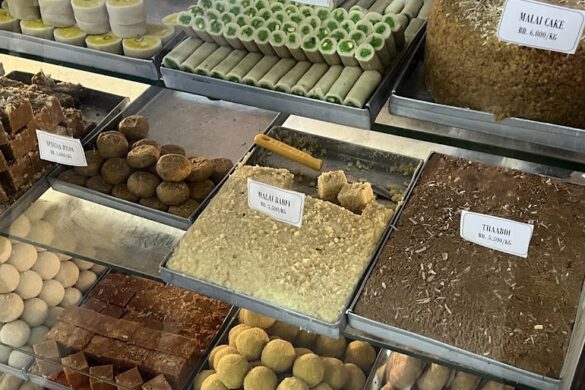 Gujarati Vegetarian Restaurant - SillySuitcase